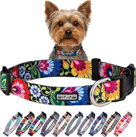 Lucky Love Dog - Adjustable Dog Collar with Easy Click Buckle for Small Ones, Durable, & Comfortable for Male & Female Dogs, Pet Collar for Puppies & Adult Dogs - Blackbird, X-Small