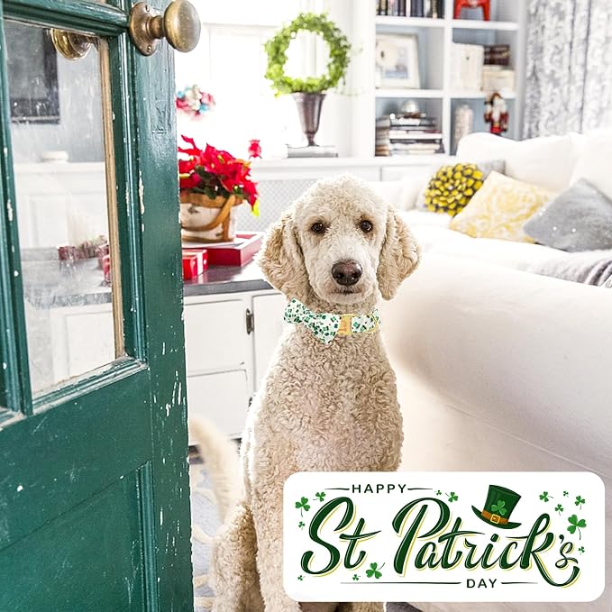 ·MR. CHUBBYFACE· St.Patrick's Clover Dog Collar with Bowtie, Green Clovers Shamrock Pattern Metal Buckle Dog Collar Adjustable Shamrock Collar for Small Medium Large Dogs