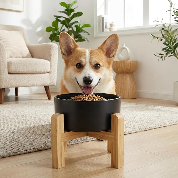 hjn Elevated Ceramic Dog Bowl with Bamboo Stand, Raised Pet Feeding Station for Small Medium Dogs Cats, Modern Design with Anti-Slip Base (Black, 3.6Cup)