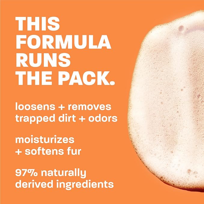 TropiClean Mango & Kiwi Dog Shampoo, 3X Longer Lasting Scent, 20oz