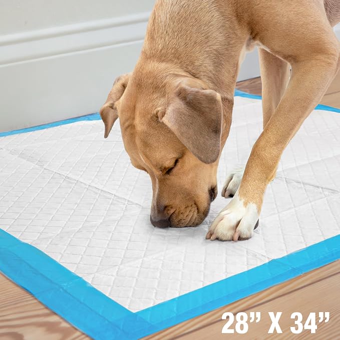 Four Paws Wee-Wee Superior Performance Extra Large Pee Pads for Dogs with Runoff Barrier Edge Guard Protection, Puppy & Dog Potty Training Pads, Housebreaking Supplies, 28" x 34" (75 Count)