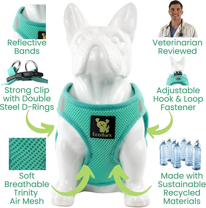 EcoBark Step in Dog Harness - Luxury Mesh Dog Harnesses - Body Halter Vest Under 26 lbs (Mint)