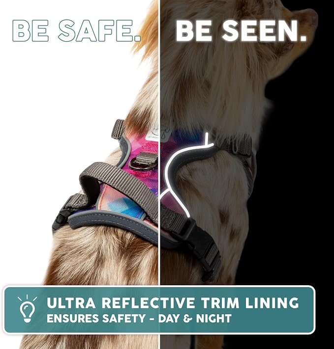 Embark Adventure Large Dog Harness – No-Pull, Reflective Trim, Military-Grade Nylon, Front Clip with Gel-Lined Handle
