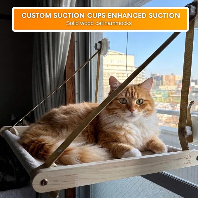 Cat Window Perch for Indoor Cats, Solid Wood Window Mounted Cat Bed with Washable Soft Seat, 4 Strong Suction Cups, Stable Hanging Hammock Lounge for Large Cats