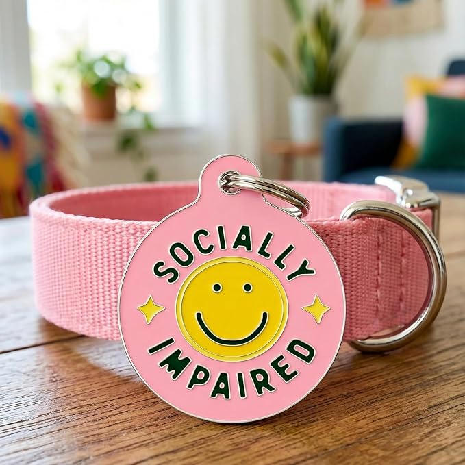 Bad Tags Personalized Dog and Cat ID Tags in 25+ Designs and 2 Sizes - 5 Lines of Custom Engraved Text - Funny Cute Personalized Pet Tags (Socially Impaired - Pink, Small (1 inch))