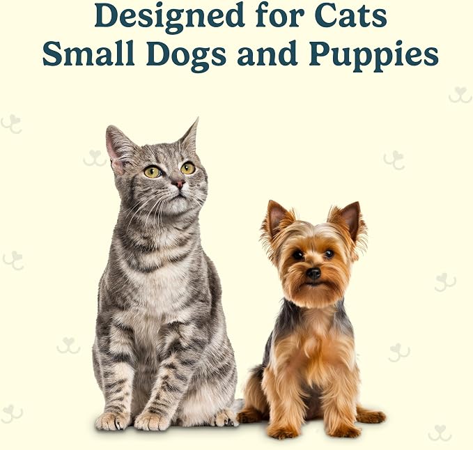 Jasper Microbrush Vet Approved Cat Toothbrush, Soft-Bristled Toothbrush Kit for Felines & Small Dogs, Non-Slip Handle with 2 Replaceable Tooth Brush Heads, Use with Cat Toothpaste, 2-Pack, Rose Pink