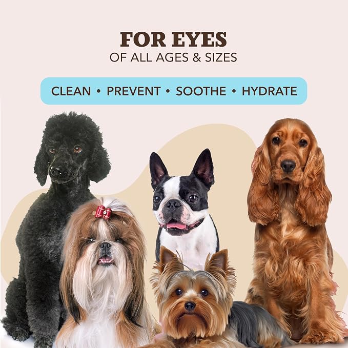 Natural Dog Company Dog Eye Wipes for Tear Stains & Eye Discharge, 100 Count – Gentle Eye Cleaning Wipes for Dogs with Aloe Vera & Witch Hazel, Removes Buildup & Eyes Gunk