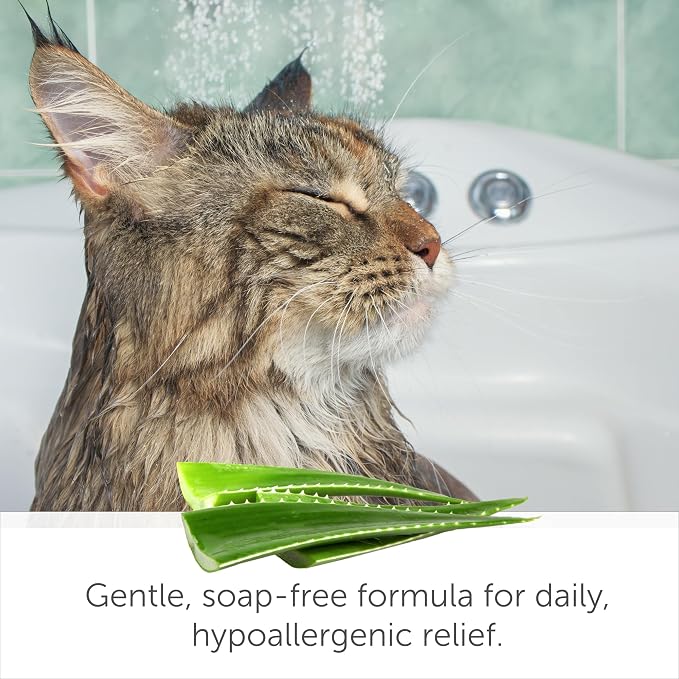 SolaceVet Aloe & Oatmeal Soothing Shampoo 12 oz – Veterinarian Recommended for Sensitive Skin in Dogs & Cats – Hypoallergenic, Soap-Free