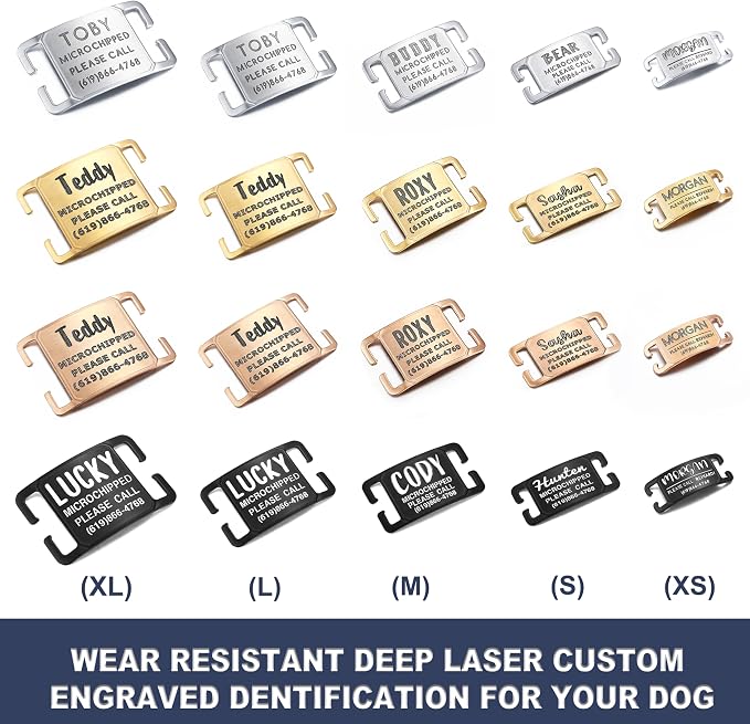 Rugged & Refined: Immovable Slide-On Pet ID Tag - Silent No-Noise Design - Deep Laser Engraved Horology-Grade Steel - Extra Small | PVD Black