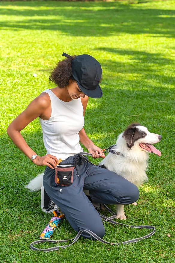 Goodie Treat Bag, Dog Treat Training Pouch | Magnetic Closure | 3 Ways to Wear | Hands-Free Waist Belt | Water-Resistant Recycled Vegan Fabric (Desert)
