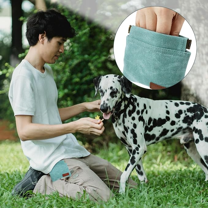 1 Pcs Pocket Pet Training Pouch,Dog Treat Pouch (Cyan) | For Portable Pet Dog Walking Bag, Travel or Outdoor Use