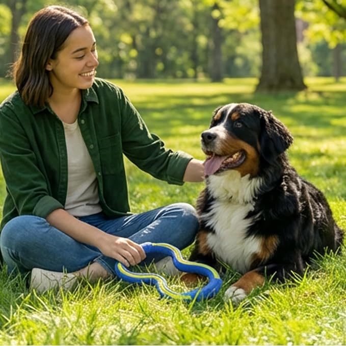 Outward Hound FlyFetch Tug Dog Toy, Durable Rubber, Fetch & Tug-o-War, All Breeds, 10.9"