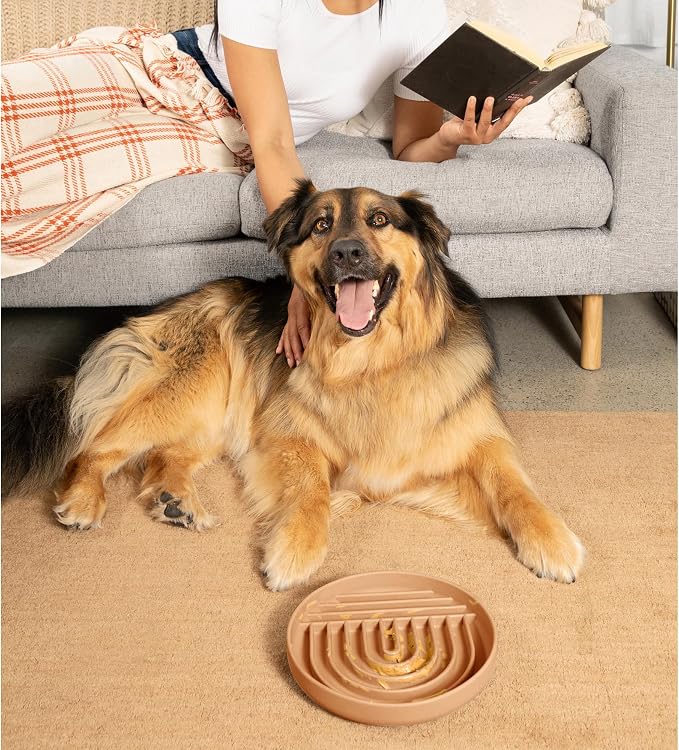 Should We Go? Slow Feeder Dog Bowls - Large Size Silicone Slow Eating Dog Bowl for Puppies & Dogs with Suction Cup -Dishwasher-Safe,Lick Mat Design,Reduces Gulping,for All Breeds,9.5”x1.5”-Terracotta