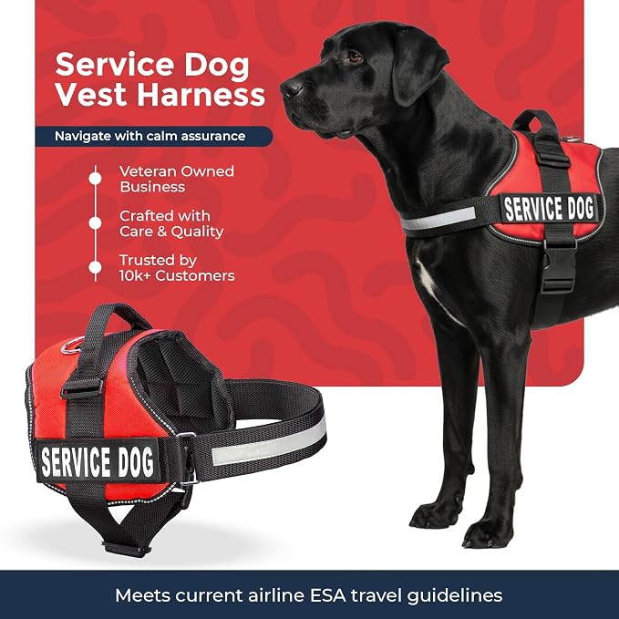 Industrial Puppy Service Dog Vest Harness - Durable and Adjustable Vest for Dog with Reflective Straps, Removable Patches, 50 ADA Cards, Handle & D-Ring, Travel and Daily Use,(Bright Red, XXL 33"-42")