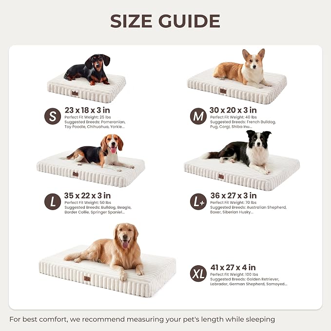 Dog Bed Small Sized for Crate, Orthopedic Pet Pad for Dogs with Removable Washable Cover, Waterproof Dogs Beds Up to 25 lbs, Soft Plush Surface & Egg Foam for Calming, 23x18x3 Inch, Cream