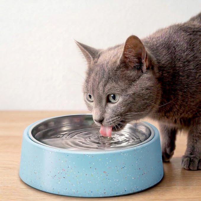 bzyoo 32oz 4CUP Dog & Cat Bowl, Sprinkle Design, Slanted Stainless Steel Pet Bowl with Removable Inner Bowl, Non-Slip Silicone Base, Dishwasher Safe, for Dry/Wet/Raw Food & Water (Blue)