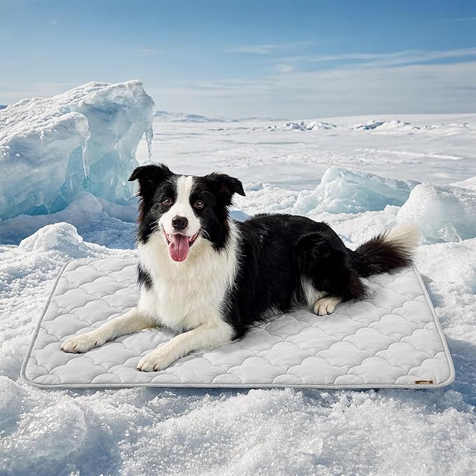 ZOMISIA Cooling Dog Mat Extra Large, Q-Max>0.5 XL Thin Breathable Cold Crate Pad for Pet, Portable Washable Kennel Bed for Summer Active Dog with Chill Soothing Fabric to Rapid Cooling, 41x27, Grey