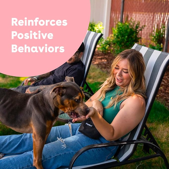 Pupford Freeze Dried Training Treats for Dogs & Puppies (Salmon, 2 oz) | 225+ treats per bag, Ultra low-calorie, Only 2 ingredients, All breed sizes, Mess free and bite sized, Trainer recommended