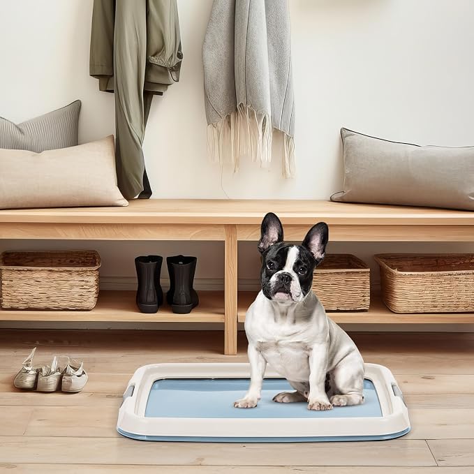 IRIS USA Pee Pad Holder for Dogs and Puppies, Potty Training Tray with Secured Latches, Non-Skid Feet, Leak Protection, Easy Clean Surface, Fits 17"x 23" Puppy Pads Size, Blue