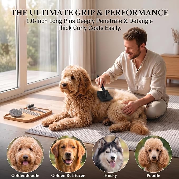 Slicker Brush for Dogs, Professional Dog Grooming Brush Kit 4PCS | Doodles Brush for Goldendoodles Poodles, Long Pin Haired Brush, Easy to Daily Detangling to Prevent Matting