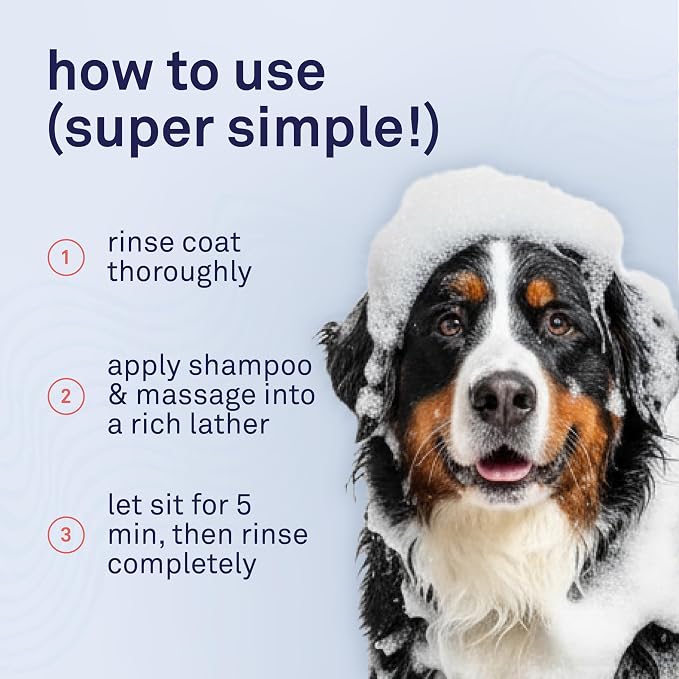 Petpost | Argan Shampoo for Dogs. Dog Shampoo with Argan Oil & Aloe. Moisturizes Dry Skin, Softens Coat, Restores Shine. 16 oz