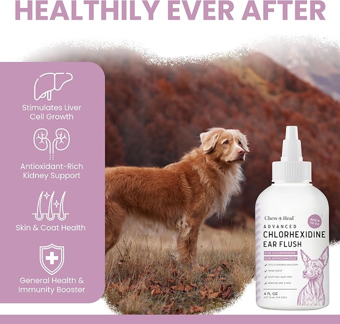 Dog Ear Cleaner - Dog Ear Infection Treatment for Dirt and Wax, 12 oz | Advanced Dog Ear Flush with Chlorohexidine and Ketoconazole - Made in the USA