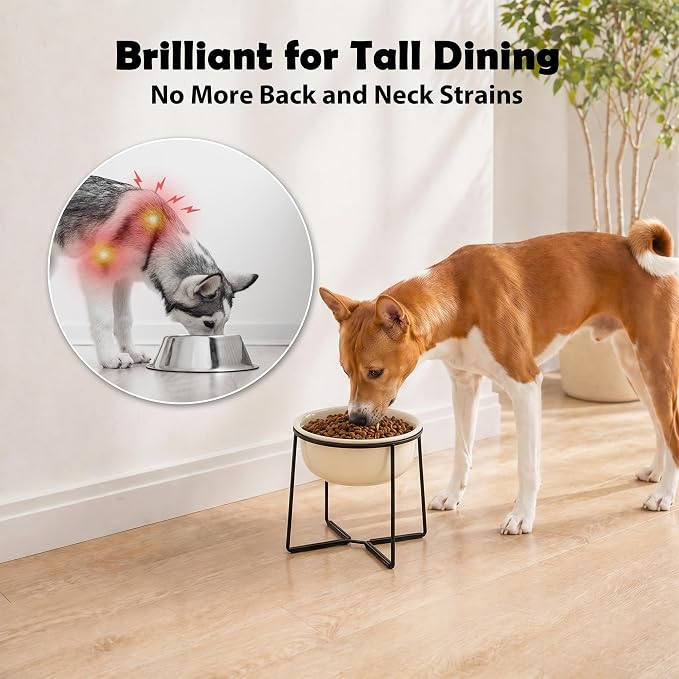 Ceramic Elevated Dog Food Bowl - Heavyweight Feeding Bowl with Metal Stand - Raised Pet Dish for Medium and Larges Dogs - 5.8 Cups - 47.3 oz - Beige