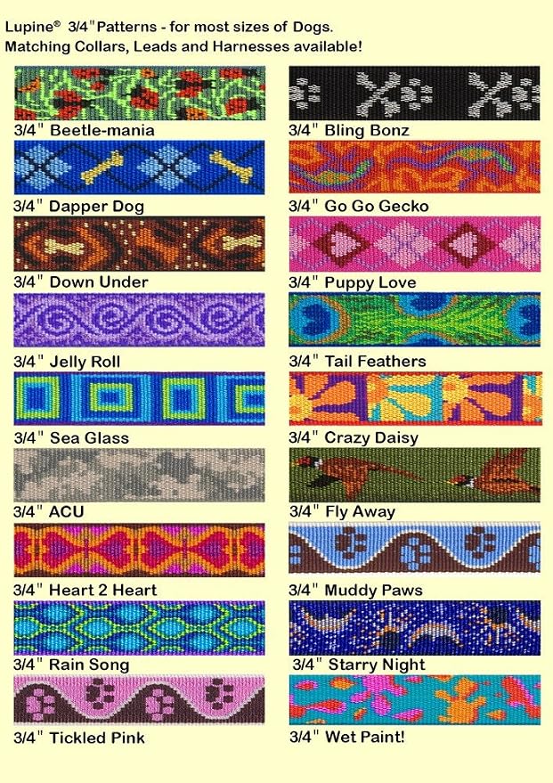 LupinePet Originals 3/4" Sea Glass 9-14" Adjustable Collar for Small Dogs