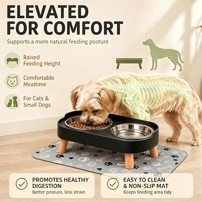 Elevated Dog Bowls with Mat, 2 Stainless Steel for Small Dogs Under 25 Lb | Raised Bowl Stand, Food & Water Set for Cats & Puppies, Splash Proof, Dishwasher Safe, Stain-Resistant Quick-Dry Mat