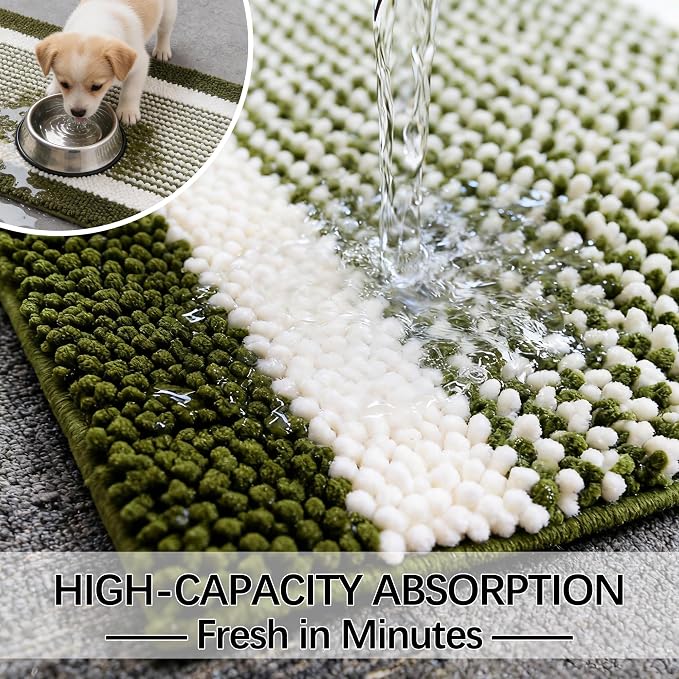 Dog Door Mat for Muddy Paws - Absorbent Quick-Dry Non-Slip Washable Chenille Pet Rug, Indoor Entryway Mat for Front Door & Crate (Green White, 30" L*18" W)