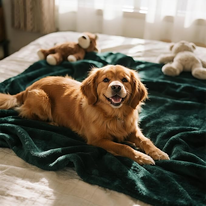 gogobunny Waterproof Bed Blanket, Reversible Sherpa Fleece Throw Blanket for Dog Puppy Cat, Furniture Cover Protects Bed Couch Sofa from Liquid Pee and Pet Fur (Forest Green, 90x90 inches)