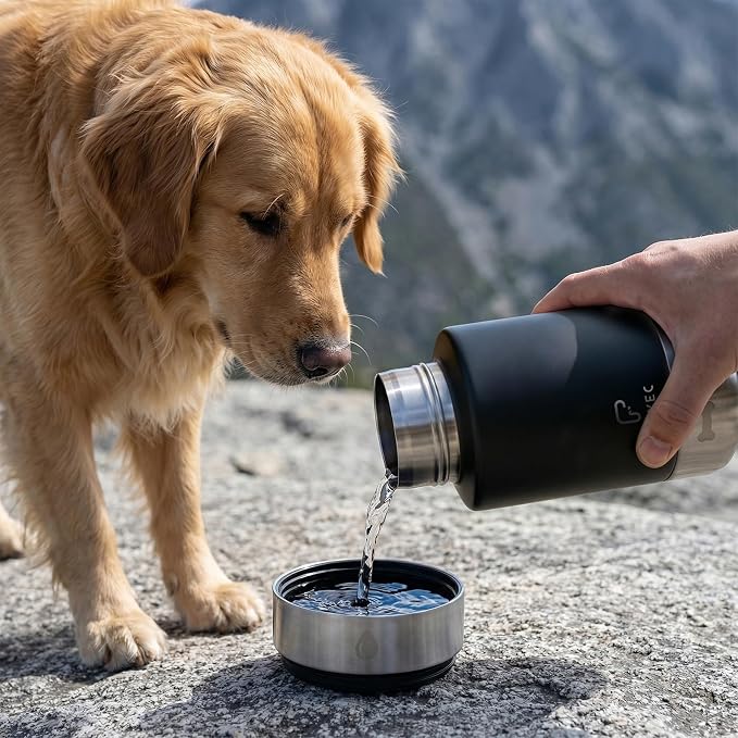 Dog Water Bottle with 2 Bowls, 32 oz Insulated Stainless Steel Portable Pet Travel Bottle, Food and Water Bowl Set for Walking Hiking Camping, Large Dog Accessories, Black