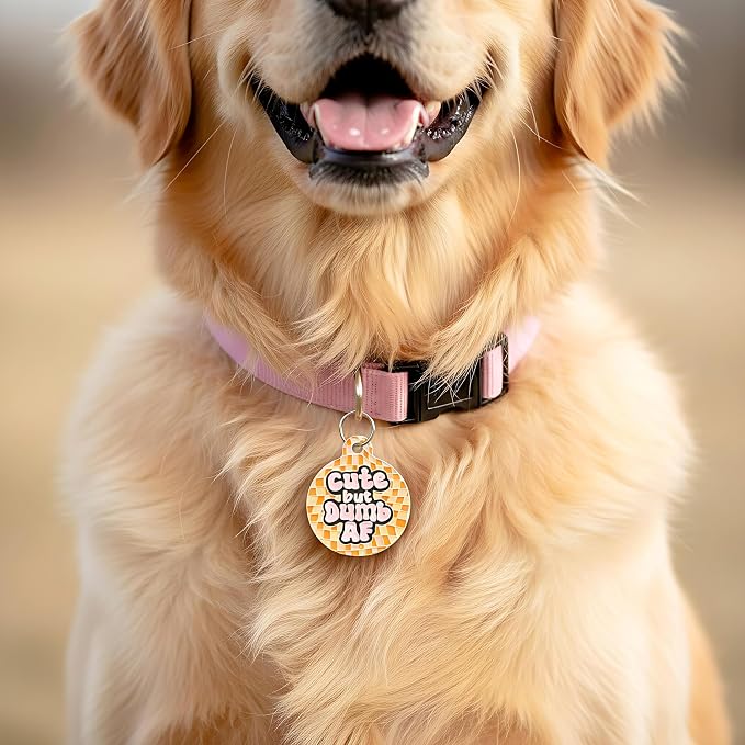 Bad Tags Personalized Dog and Cat ID Tags in 25+ Designs and 2 Sizes - 5 Lines of Custom Engraved Text - Funny Cute Personalized Pet Tags (Cute But Dumb AF, Small (1 inch))