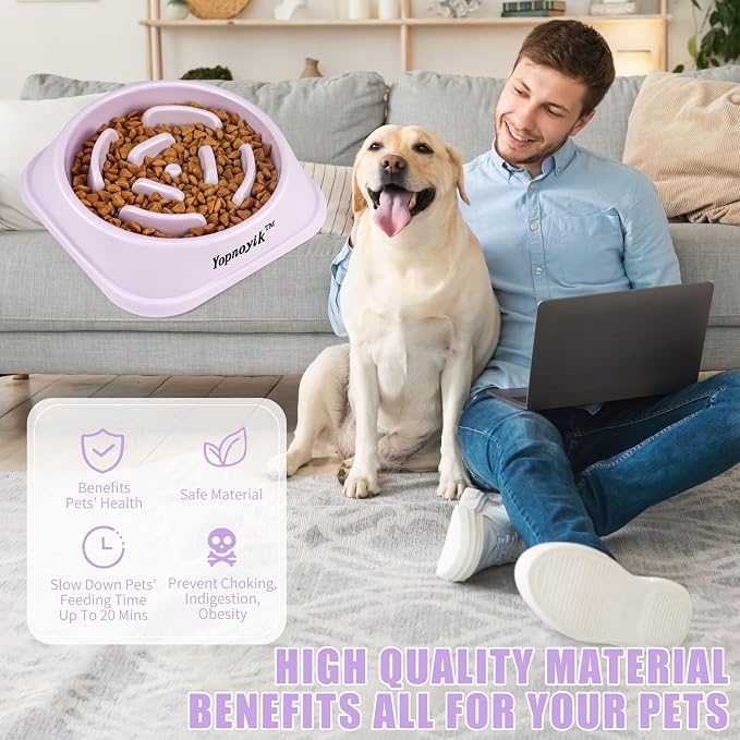 Slow Feeder Dog Bowls for Healthy Eating, Non-Slip and Anti-Choking Design, Reduces Bloating & Overeating for Medium Dogs and Cats, Easy to Clean