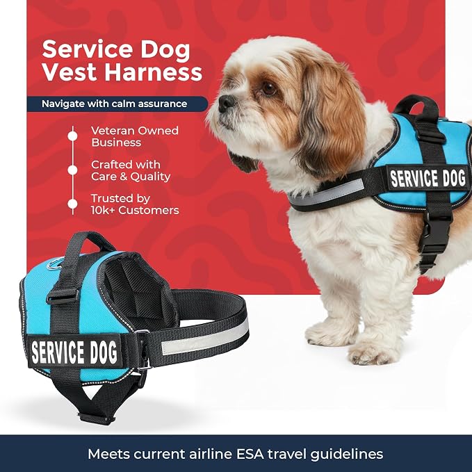 Industrial Puppy Service Dog Vest Harness - Durable & Adjustable Vest for Dog with Reflective Straps, Removable Patches, 50 ADA Cards, Handle & D-Ring, Travel and Daily Use, (Blue, Small 19.5"-25")