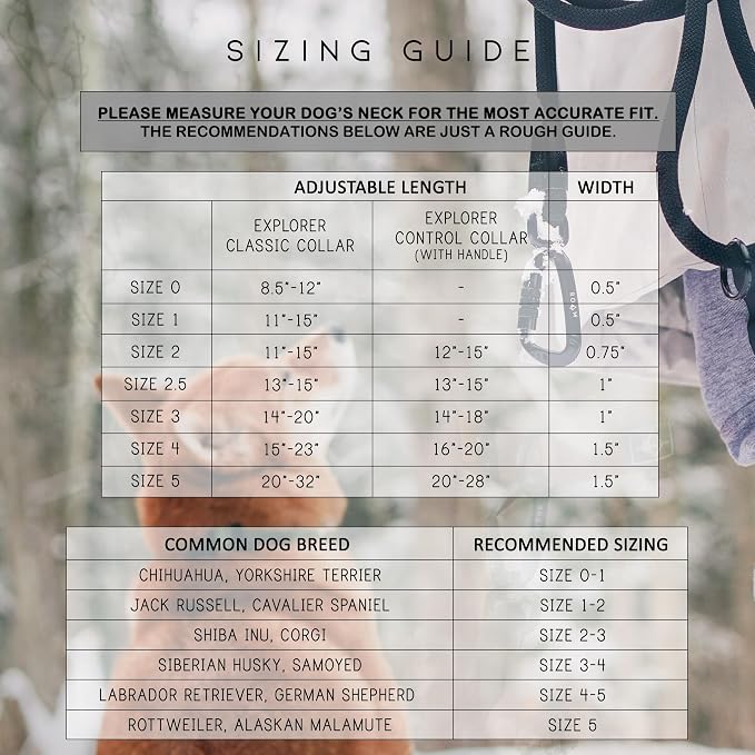 Made to ROAM Premium Dog Collar - Adjustable Heavy Duty Nylon Collar with Quick-Release Metal Buckle (Virginia Mountains, Classic Size 1)