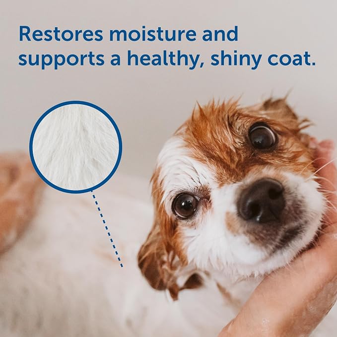 SolaceVet Aloe & Oatmeal Soothing Shampoo 12 oz – Veterinarian Recommended for Sensitive Skin in Dogs & Cats – Hypoallergenic, Soap-Free