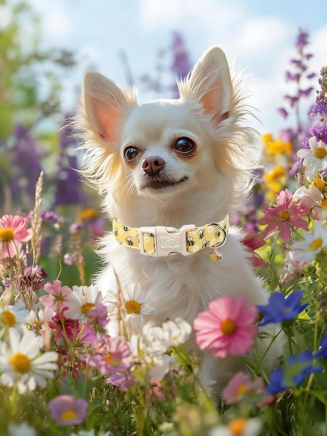 Bee & Daisy Dog Collar for Giant Large Dogs - Spring/Summer Cartoon Yellow Dog Collars, Lightweight Adjustable Male Female Dogs Collars with Quick Release Buckle XL