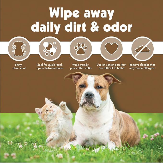 Petkin Pet Wipes for Dogs and Cats, 200 Wipes (Large) – Oatmeal Pet Wipes for Dogs and Cats – Soothes Itchy Dry Skin and Cleans Ears, Face, Butt, Body and Eye Area – 2 Packs of 100 Wipes