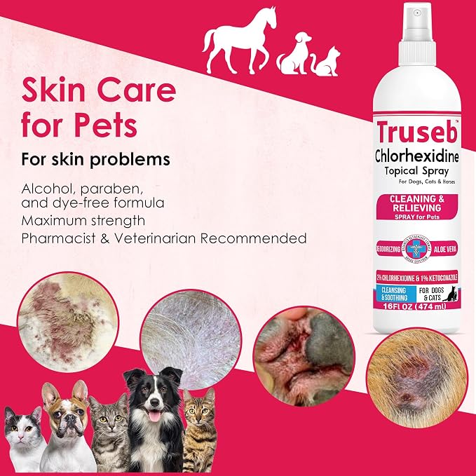 Truseb Medicated Topical Ketoconazole and Chlorhexidine Spray for Dogs, Cats, and Horses with Essential Fatty Acids, Ketoconazole Spray Aloe and Vitamin E (Ketoconazole & Chlorhexidine Spray, 16 oz)
