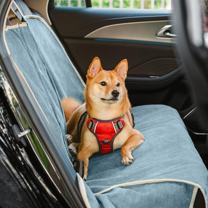 FUNNY FUZZY Dog Car Seat Cover for Back Seat, Back Seat Pet Cover for Dogs Waterproof, Scratchproof Dog Backseat Cover, Non-Slip Bench Car Seat Protector, Universal Fit Most Cars, SUVs, Trucks, Blue