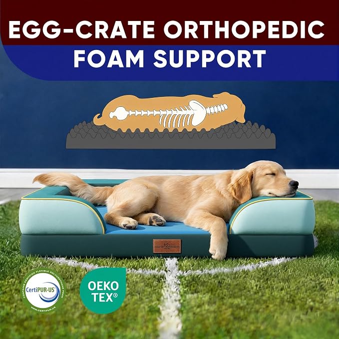 Comfort Expression Orthopedic Dog Beds for Large Sized Dog with Bolster | Waterproof Dog Couch Bed with Washable Cover & Non-Slip Bottom, Supportive Egg Crate Foam Large Pet Bed, 36x27 Inch