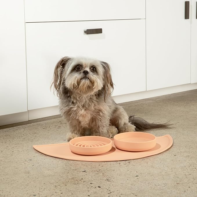 Should We Go? Slow Feeder Dog Bowls - Small Size Silicone Slow Eating Dog Bowl for Puppies & Dogs with Suction Cup -Dishwasher-Safe, Lick Mat Design, Reduces Gulping, for All Breeds, 6”x1.25”- Blush
