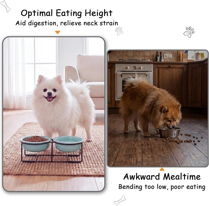 Ceramic Elevated Dog Bowl Set - Double Dog Food and Water Bowls with Metal Stand - Raised Pet Dishes for Puppies and Cats - 2 Cups - 12.5 fl oz - Green