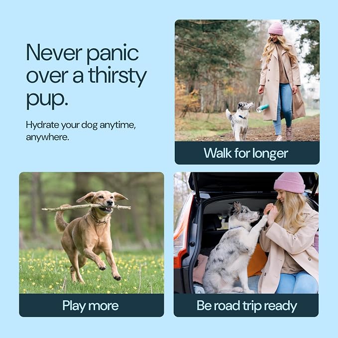 MalsiPree Insulated Dog Water Bottle - 24 oz Pink, Stainless Steel | 24oz insulated steel bottle & bowl - leak-proof - Use for dog travel, hiking, park & beach days