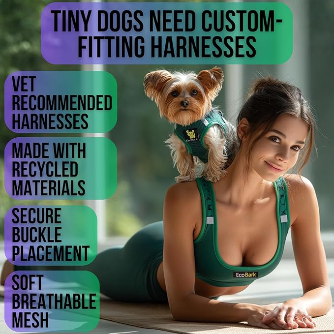EcoBark Teacup Dog Harness - Toy Breed Dog Harnesses for Tiny Dogs - Luxury Soft Step in Mini Body Halter - Puppy Harness- Dog Vest Under 5 pounds lbs (XXXS, Forest Green)