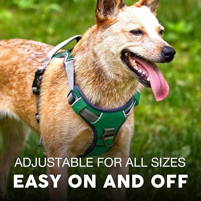 Embark Adventure Small Dog Harness – No-Pull, Reflective Trim, Military-Grade Nylon, Front Clip with Gel-Lined Handle