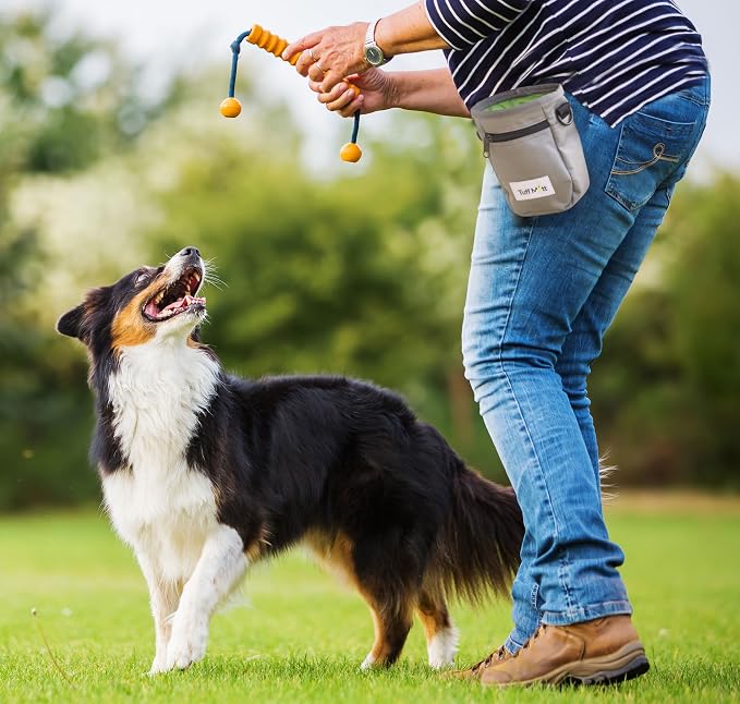 Dog Treat Pouch for Training with Poop Bag Dispenser | Adjustable Waist Belt, Metal Clip, Holds Treats Kibble and Accessories, Includes Pet Waste Bags