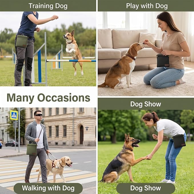 2 PCS Dog Treat Pouches for Pet Training 4.6in | Portable Auto Closing Dogs Treats Bag with Carabiner for Travel Outdoor Use Reusable Small Dogs Treats Container