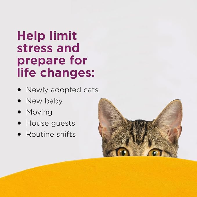 Comfort Zone Cat Calming Diffuser Refill, 2 Pack of 30-day refills | Reduces cat stress, use with Comfort Zone Diffuser, refills lasts up to 30 days, expert recommended, drug- and fragrance-free